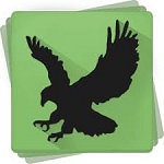 Black Bird Cleaner