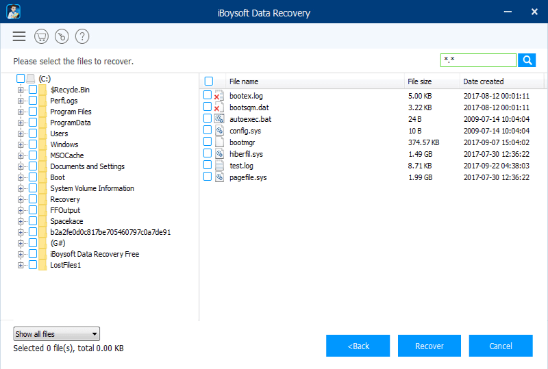 Iboysoft Data Recovery For Windows Recover Screenshot
