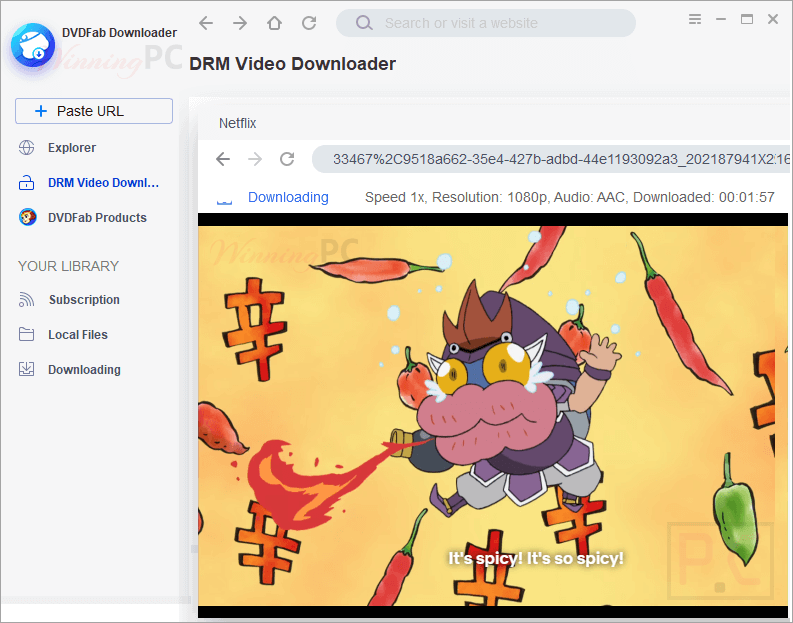Dvdfab Drm Video Downloader Download Netflix