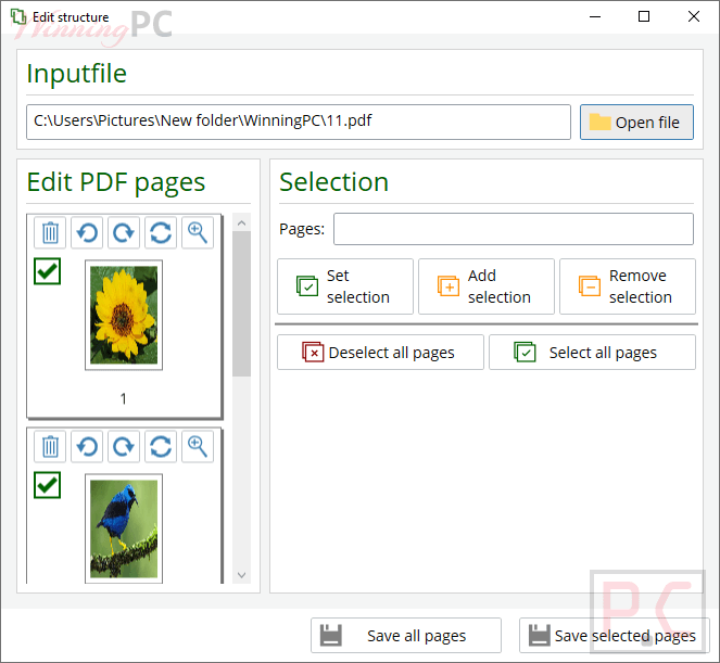 Creativities.pdf Edit Structure Creativities.pdf Edit Structure