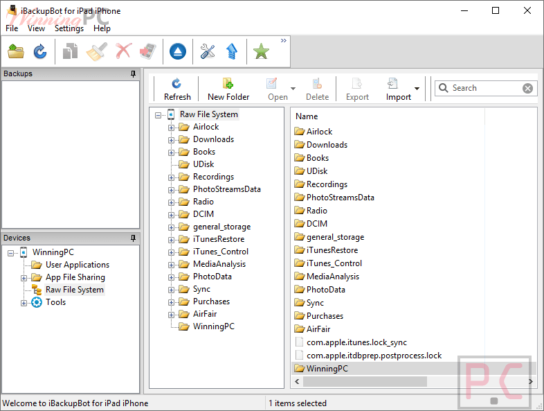 Raw File System Ibackupbot Raw File System Ibackupbot