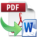 Pdf To Doc (1 Year / 1 Pc)