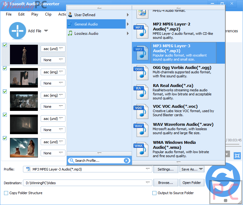 Support Format Faasoft Audio Converter