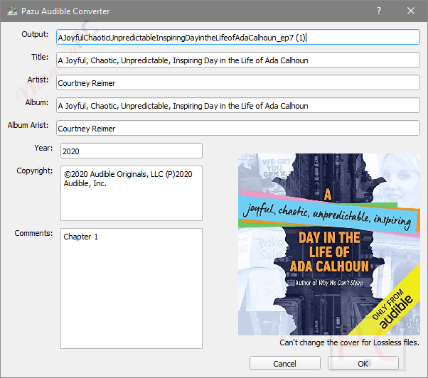 Edit Metadata Pazu Audible Converter
