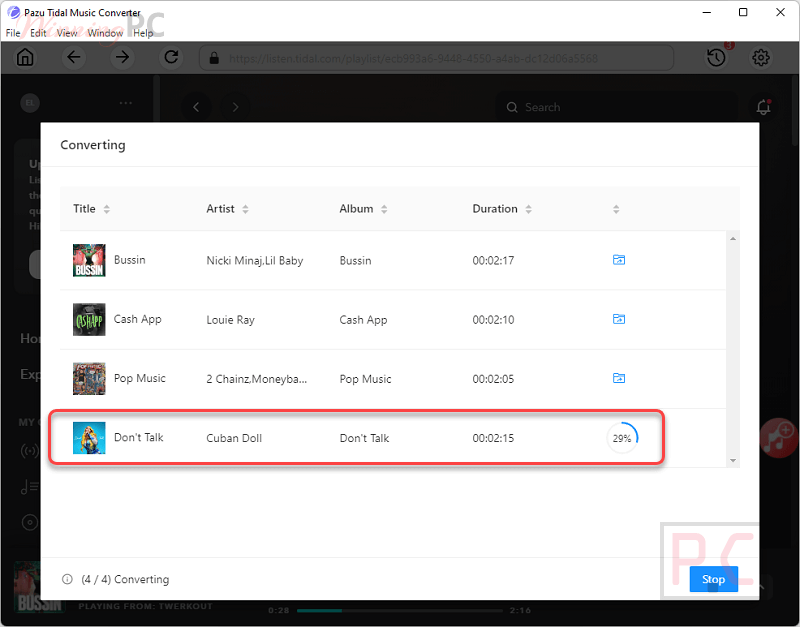 Pazu Tidal Music Converter Converting Music