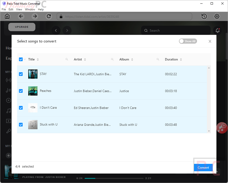 Select Songs Pazu Tidal Music Converter