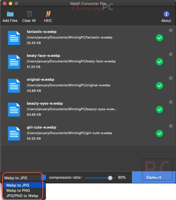 Vertexshare Anywebp Proccessing Vertexshare Anywebp Proccessing