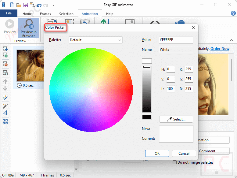 Color Picker Blumentals Easy Gif Animator Color Picker Blumentals Easy Gif Animator