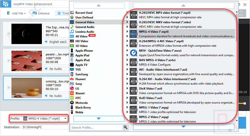 Format Anymp4 Video Enhancement