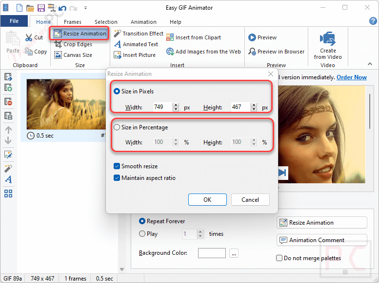 Resize Blumentals Easy Gif Animator Resize Blumentals Easy Gif Animator