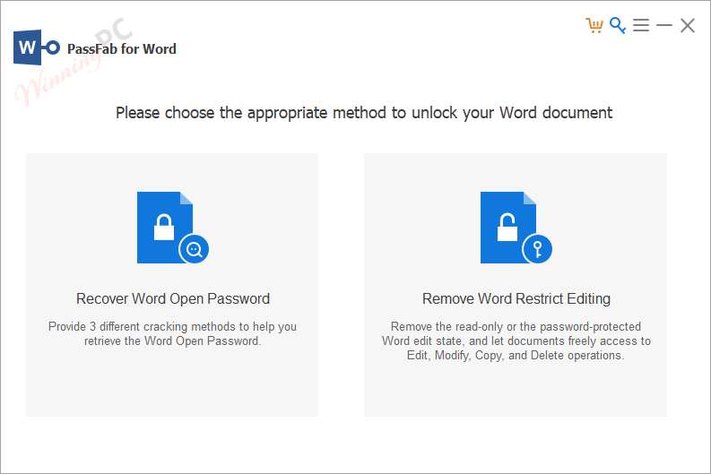 Passfab For Word Screenshot