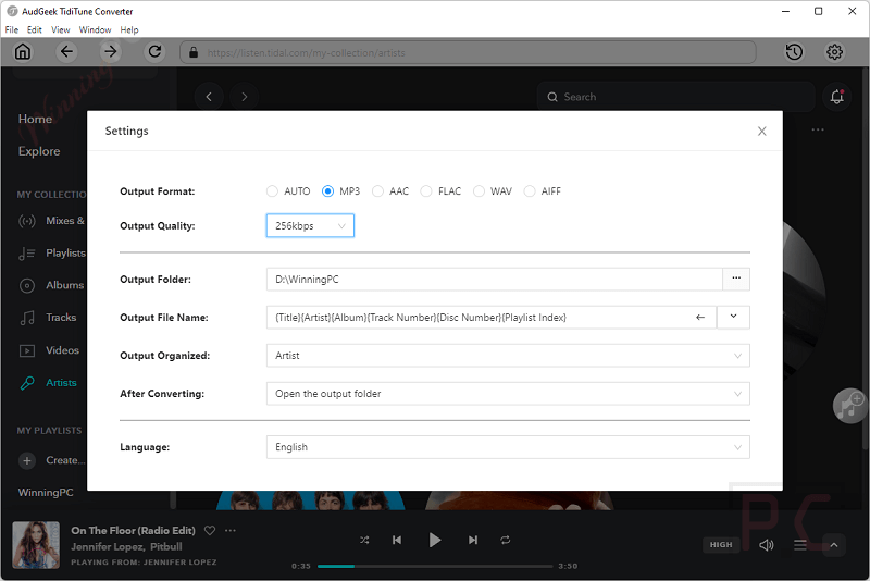 Settings Audgeek Tiditune Converter Settings Audgeek Tiditune Converter