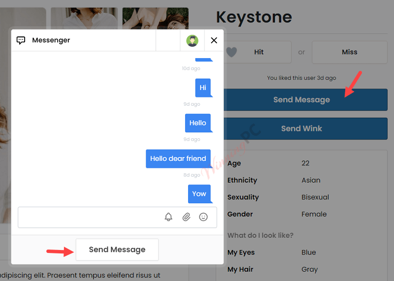 Premiumpress Dating Theme Messenger Premiumpress Dating Theme Messenger