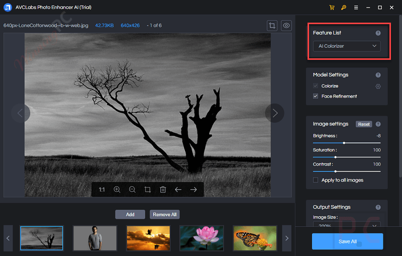 Avclabs Photo Enhancer Ai Colorizer B W