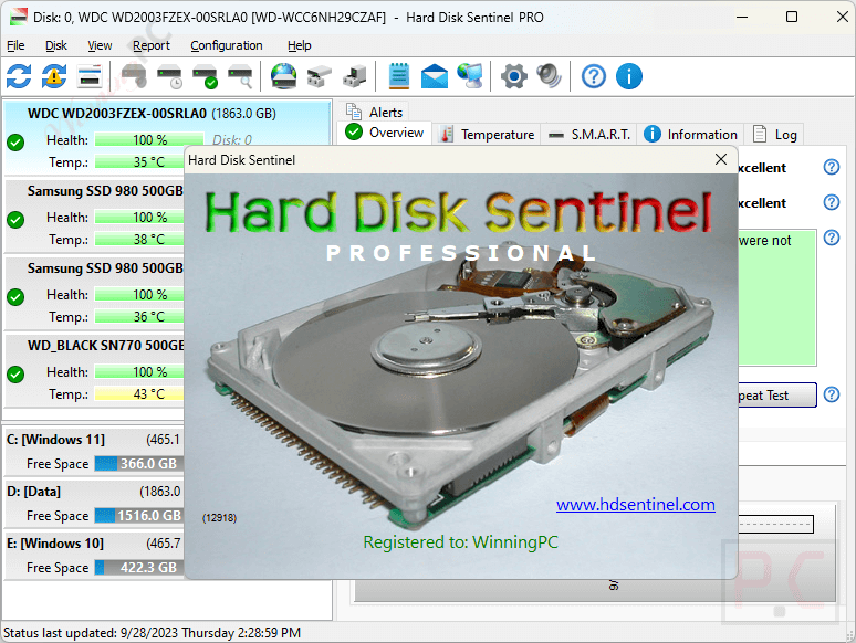 About Hard Disk Sentinel Professional