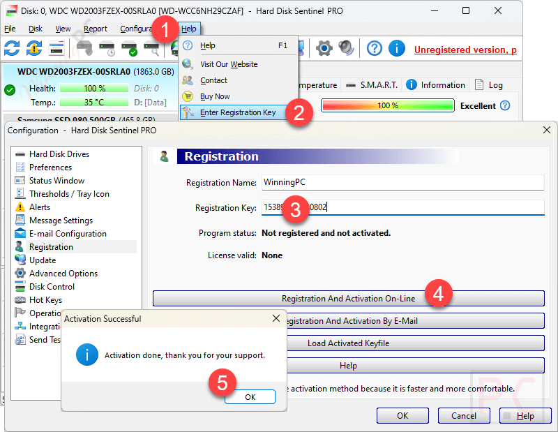 Activate Hard Disk Sentinel Professional