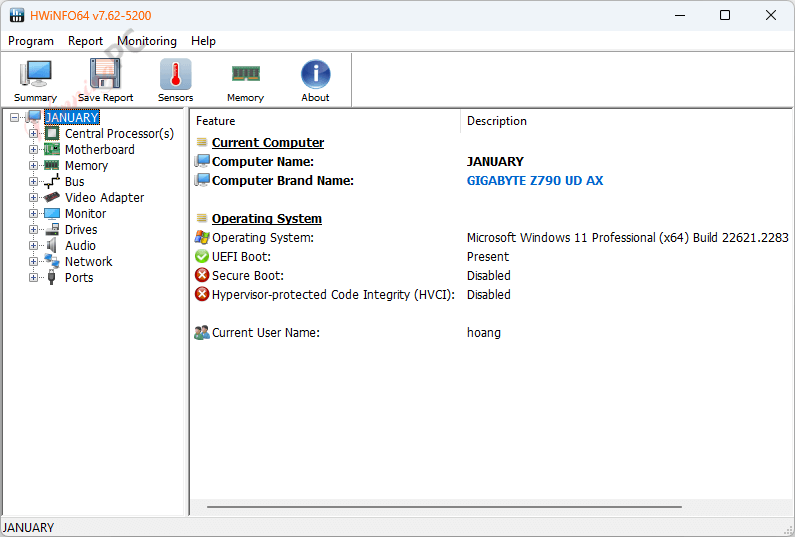 Hwinfo64 Screenshot