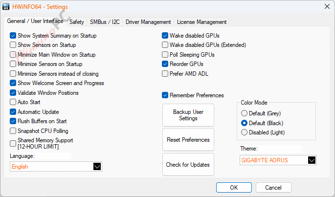 Hwinfo Settings