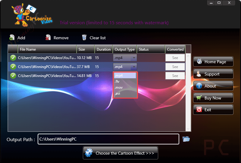Video Cartoonizer Desktop Software Output Format Video Cartoonizer Desktop Software Output Format
