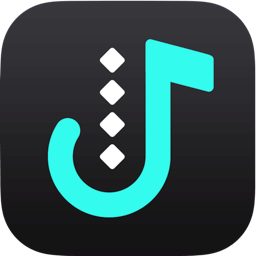 Viwizard Tidal Music Converter - Lifetime License