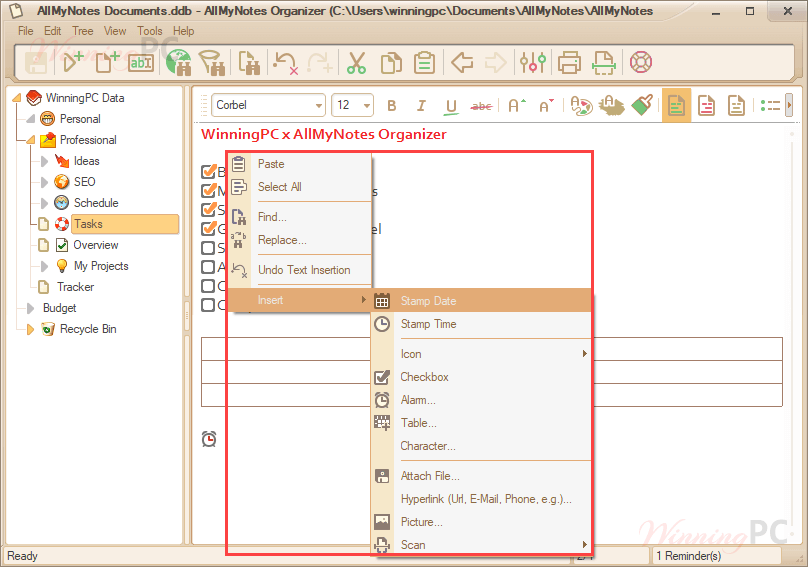 Allmynotes Organizer Deluxe 2024 Insert Allmynotes Organizer Deluxe 2024 Insert