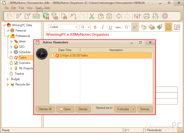 Allmynotes Organizer Deluxe 2024 Reminders Allmynotes Organizer Deluxe 2024 Reminders