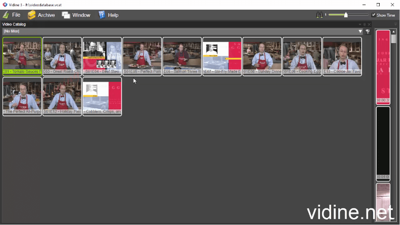 Vidine Screenshot Video Catalog Vidine Screenshot Video Catalog