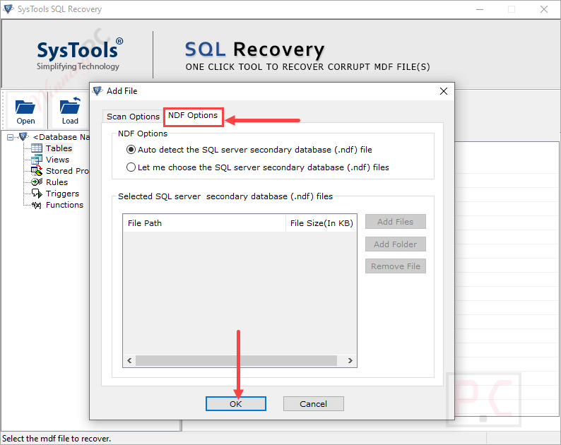 Ndf Options Systools Sql Recovery